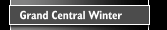 Grand Central Winter